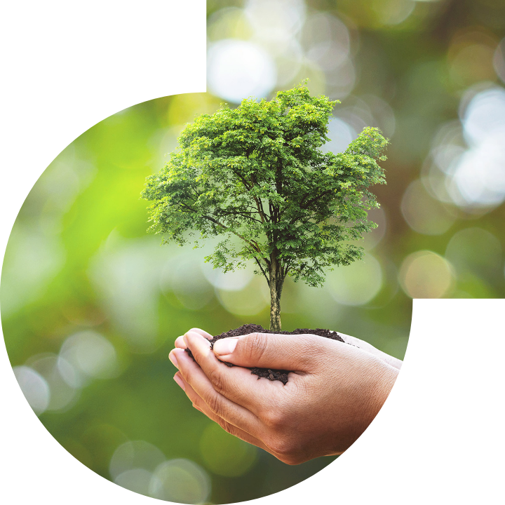 关怀人类、文化、环境与社会